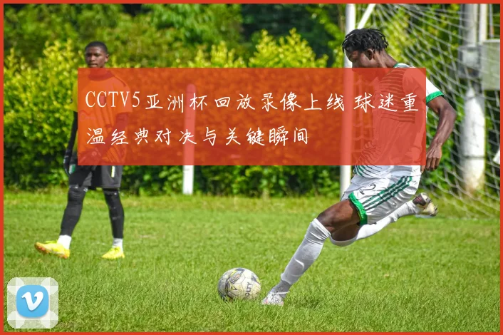 CCTV5亚洲杯回放录像上线 球迷重温经典对决与关键瞬间