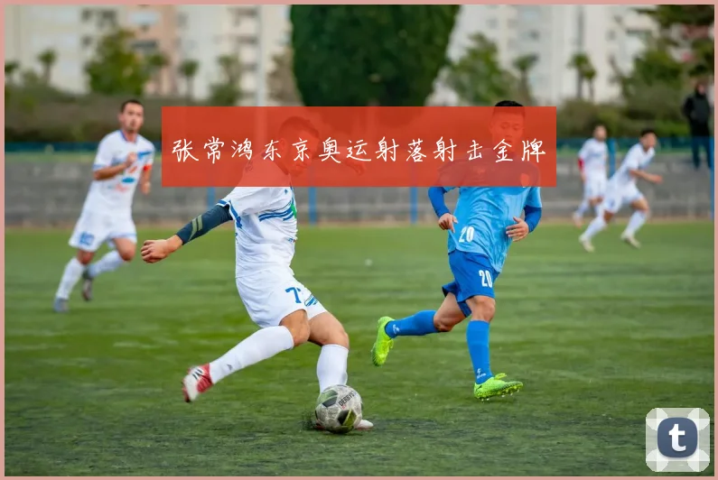 张常鸿东京奥运射落射击金牌