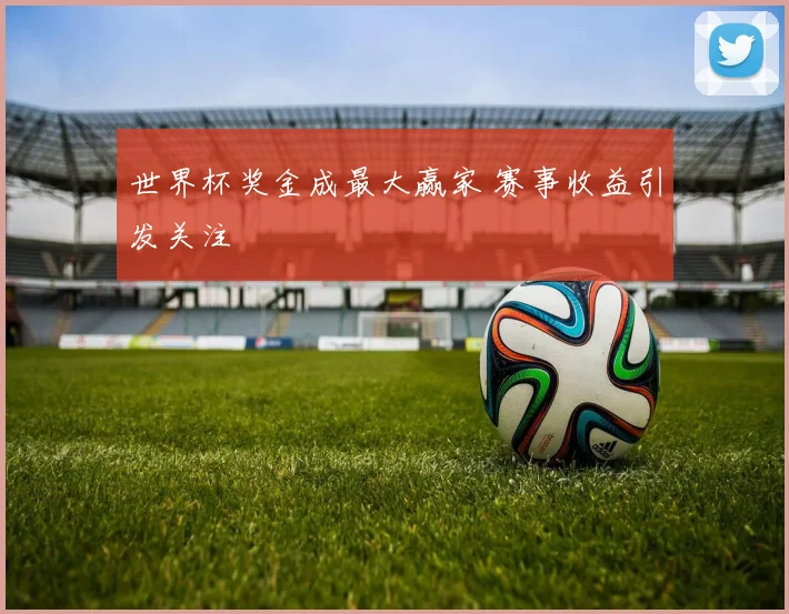 世界杯奖金成最大赢家 赛事收益引发关注