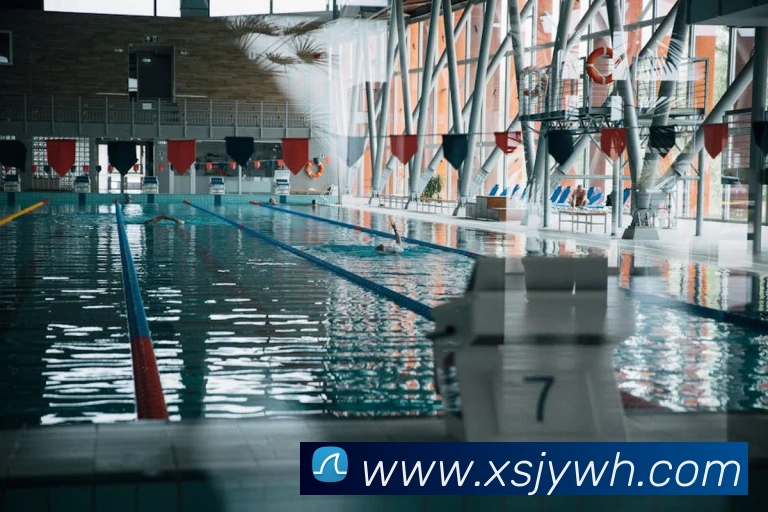 b体育官方网页发展历程